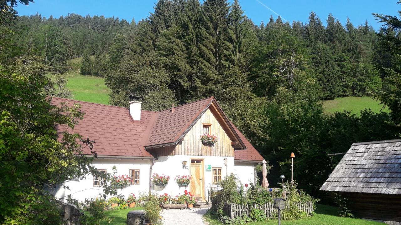 Ferienhaus Lenzau Strohmarkt Экстерьер фото